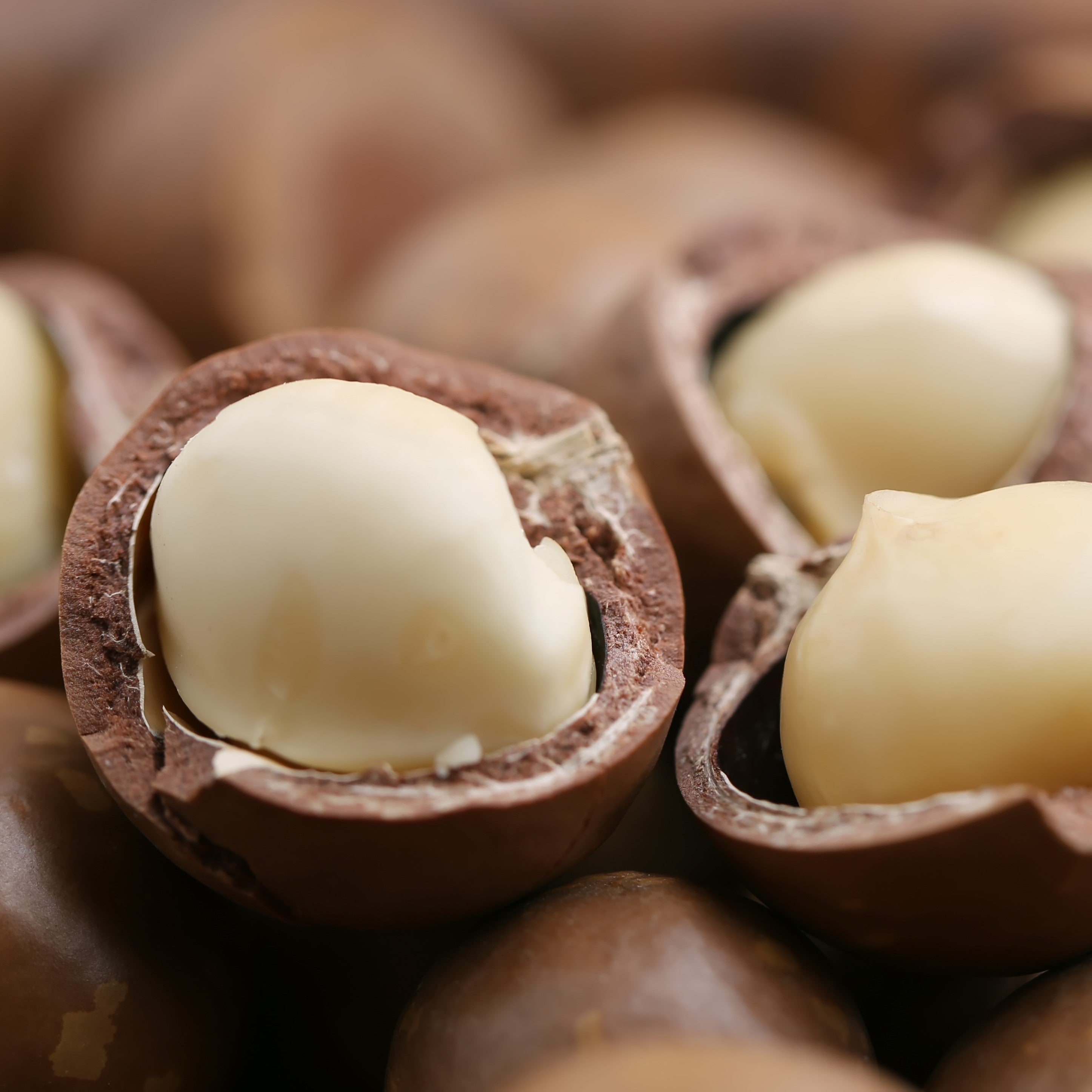Macadamiaöl kalt gepresst, raffiniert