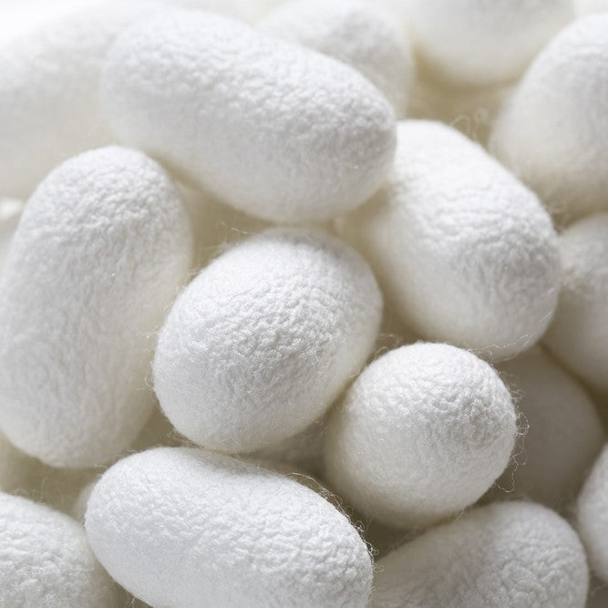 Silk Powder