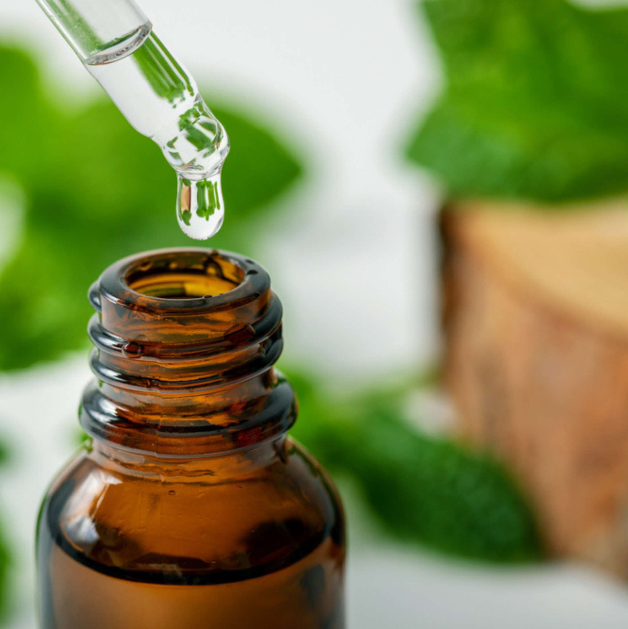 Peppermint Arvensis Essential Oil