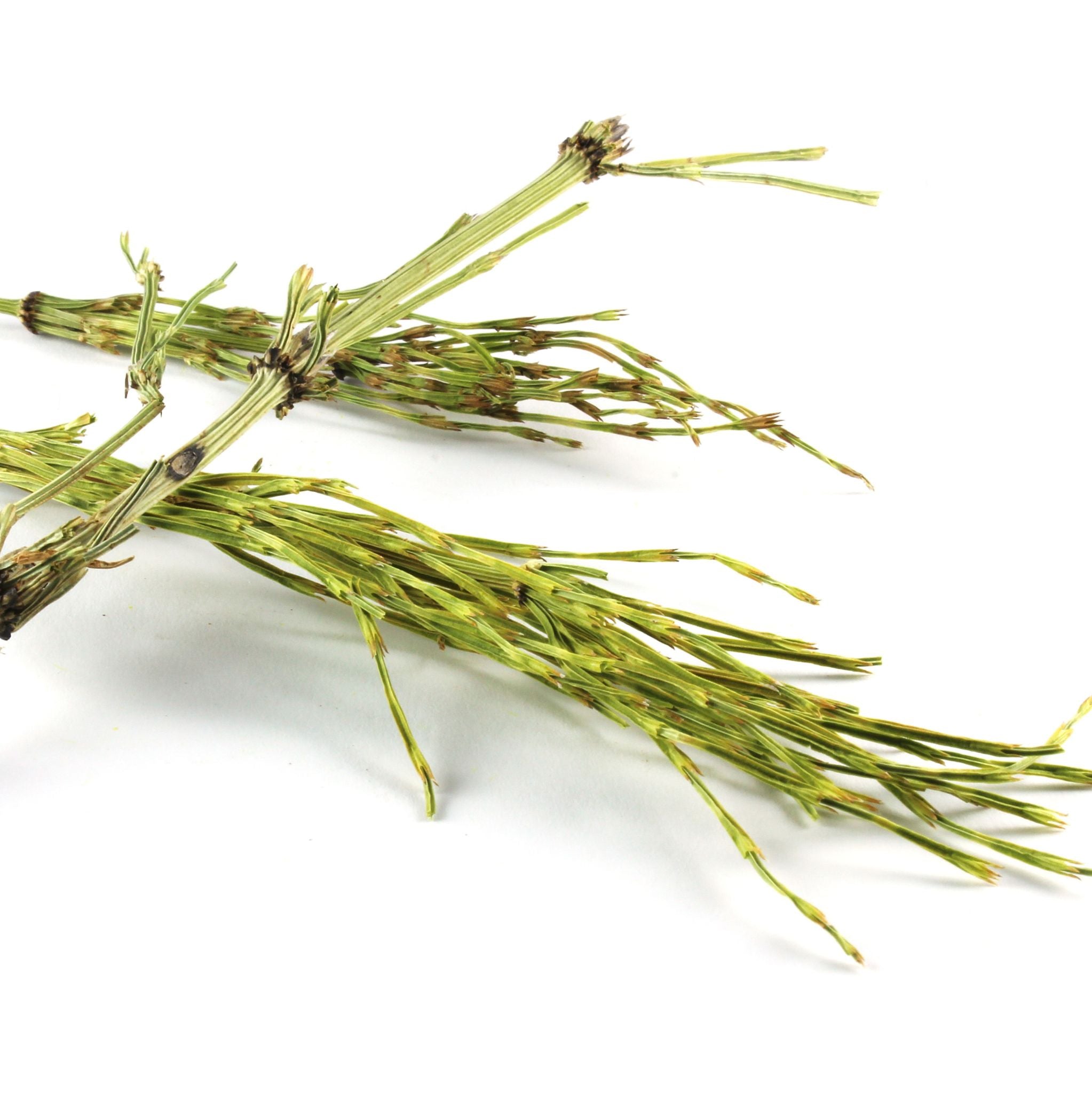 Field Horsetail Powder