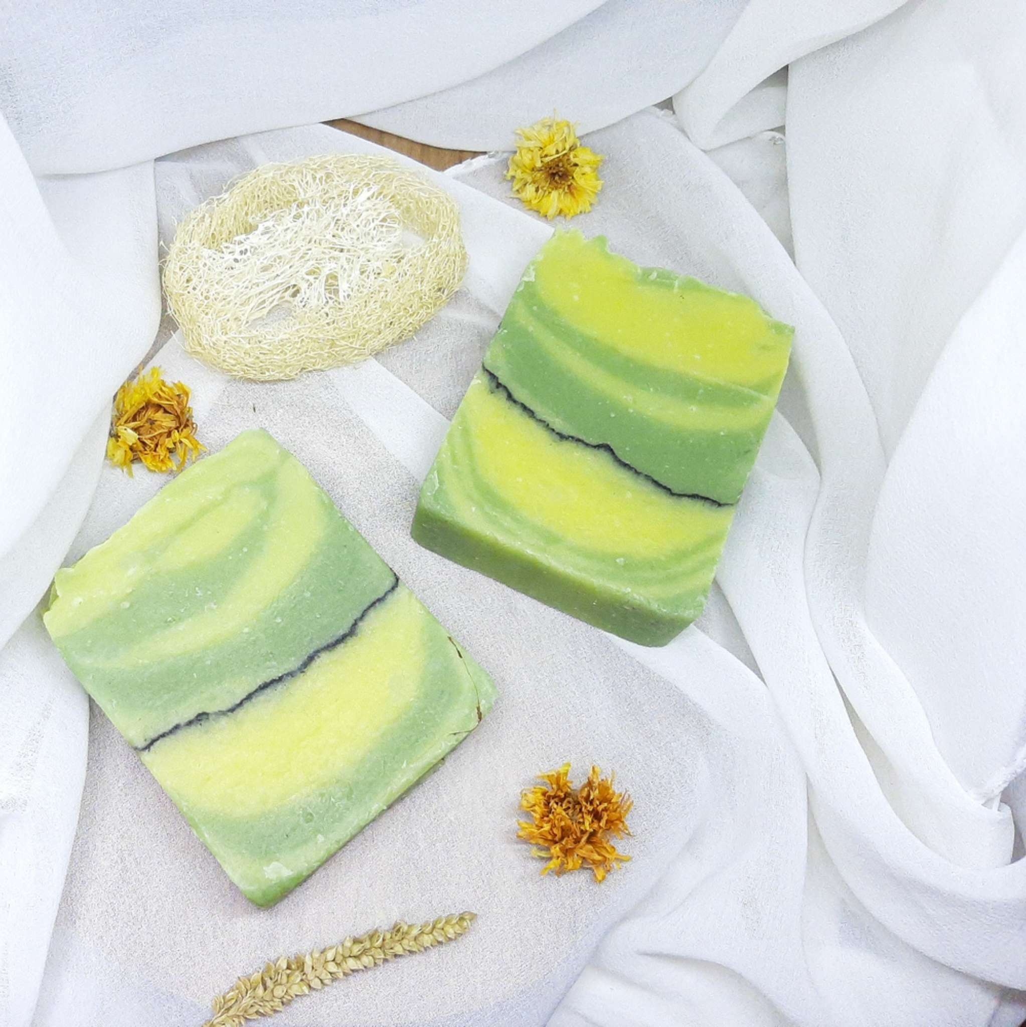 Citronella *BIO 10 ml, ätherisches Öl