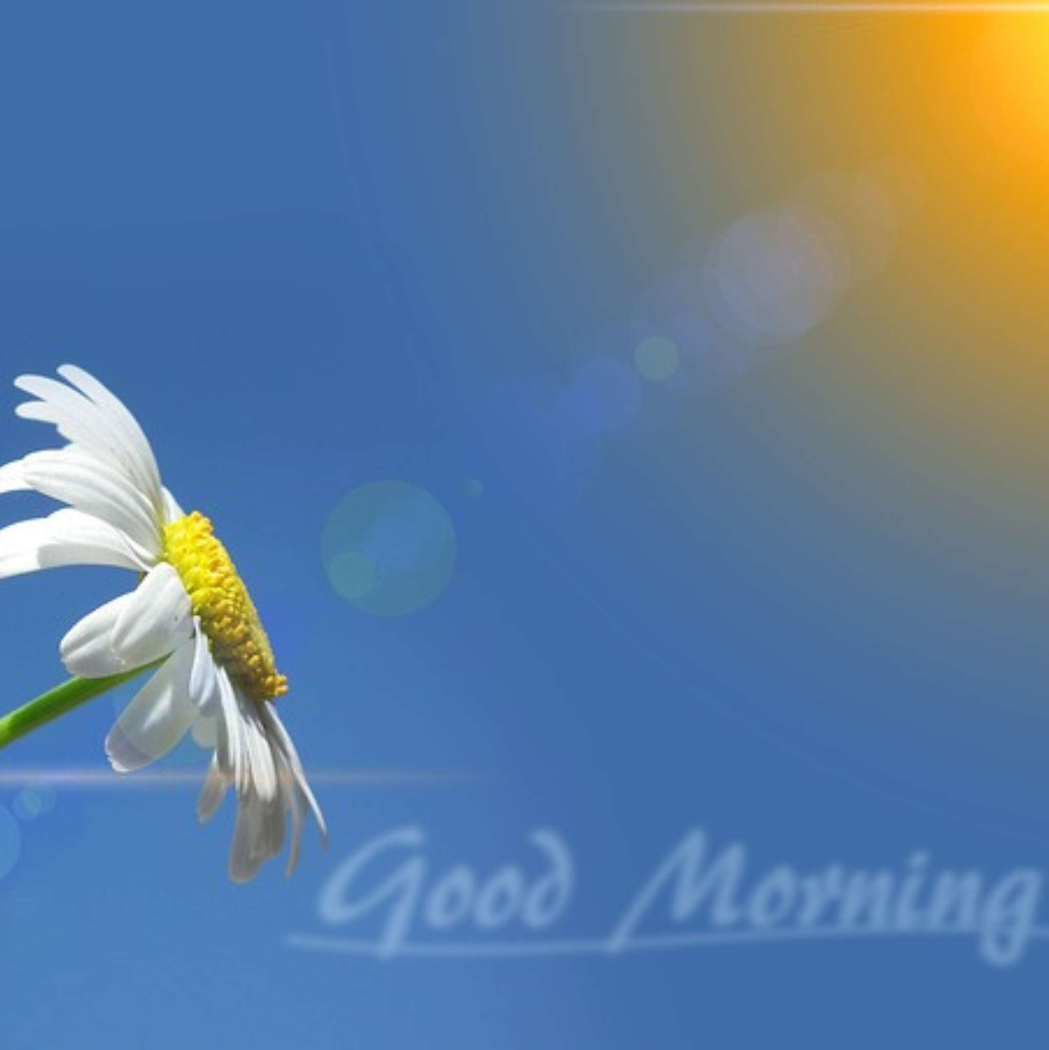 Good Morning Essential Oil Blend