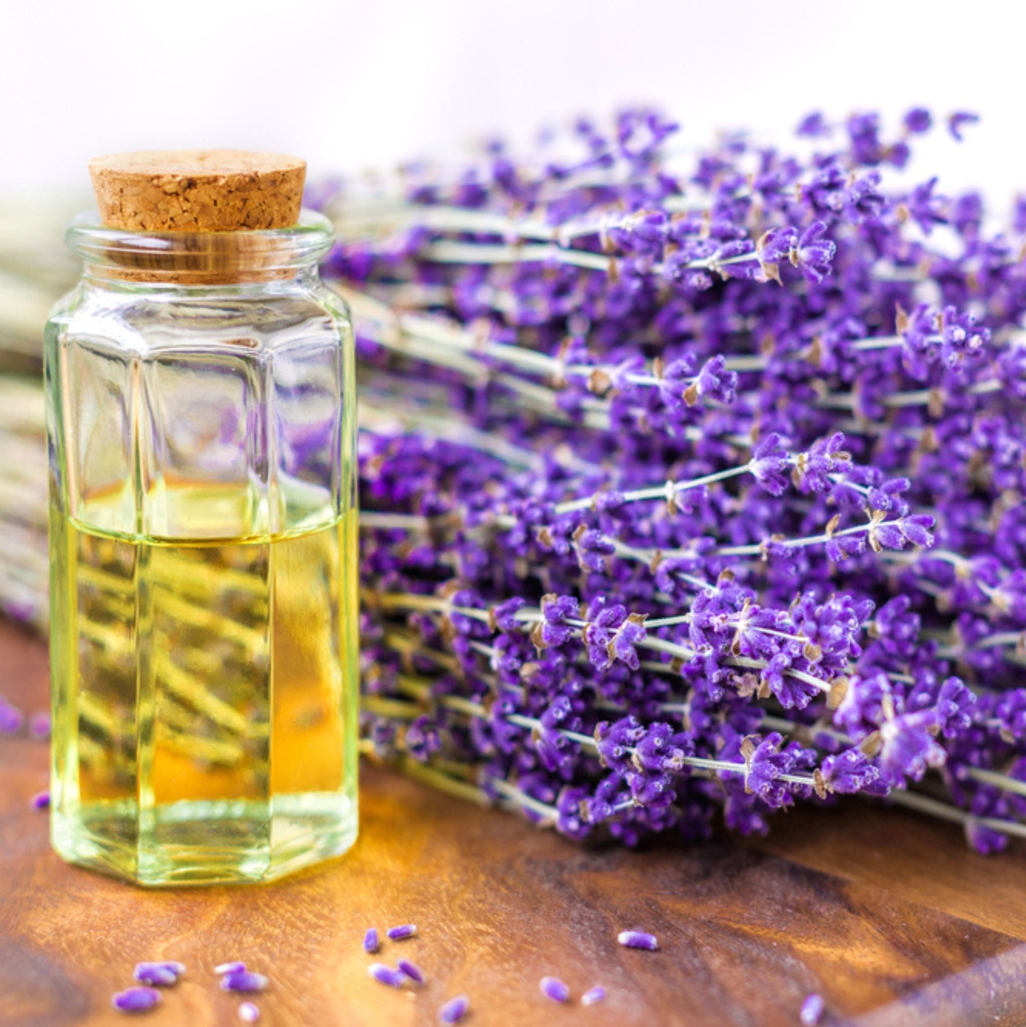 Lavandin *BIO 10 ml, ätherisches Öl