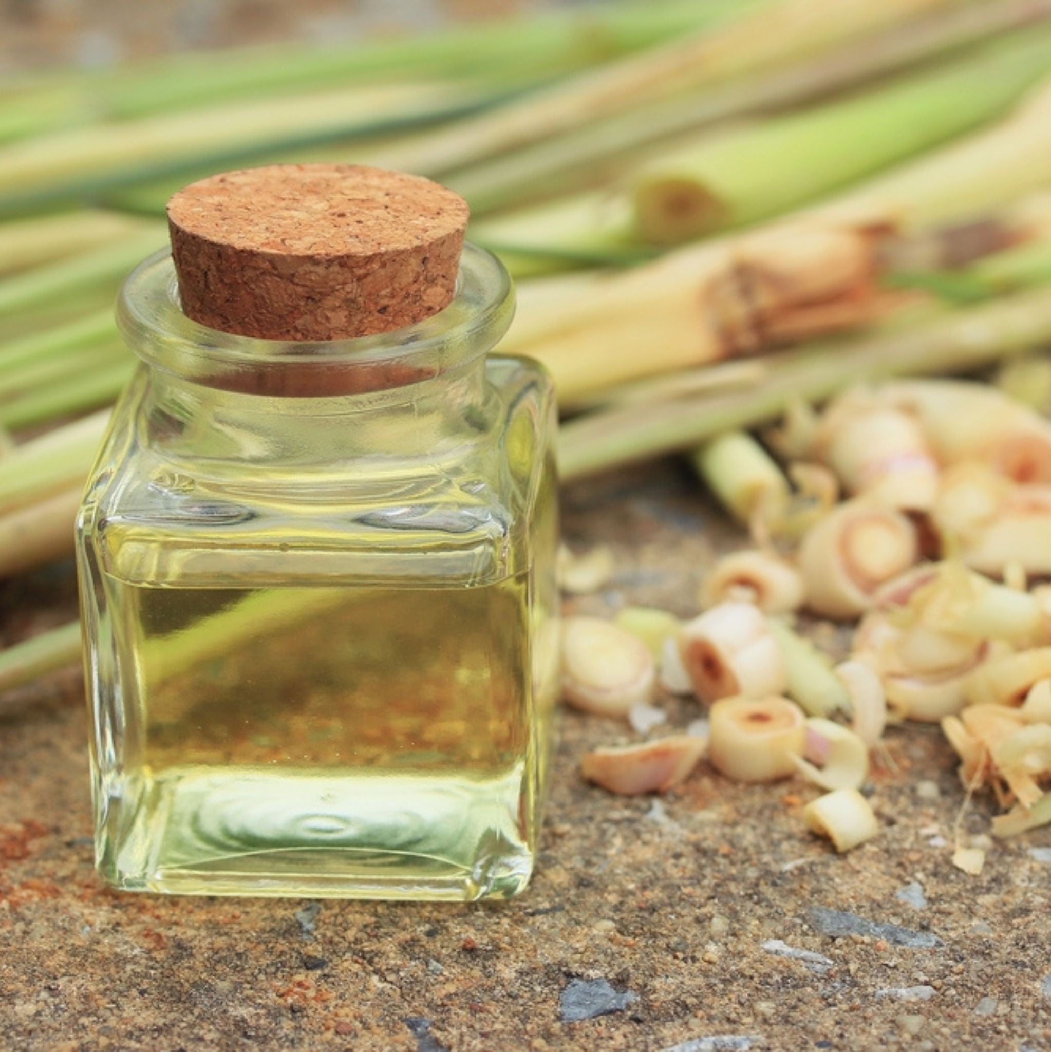 Lemongras *BIO 10 ml, ätherisches Öl