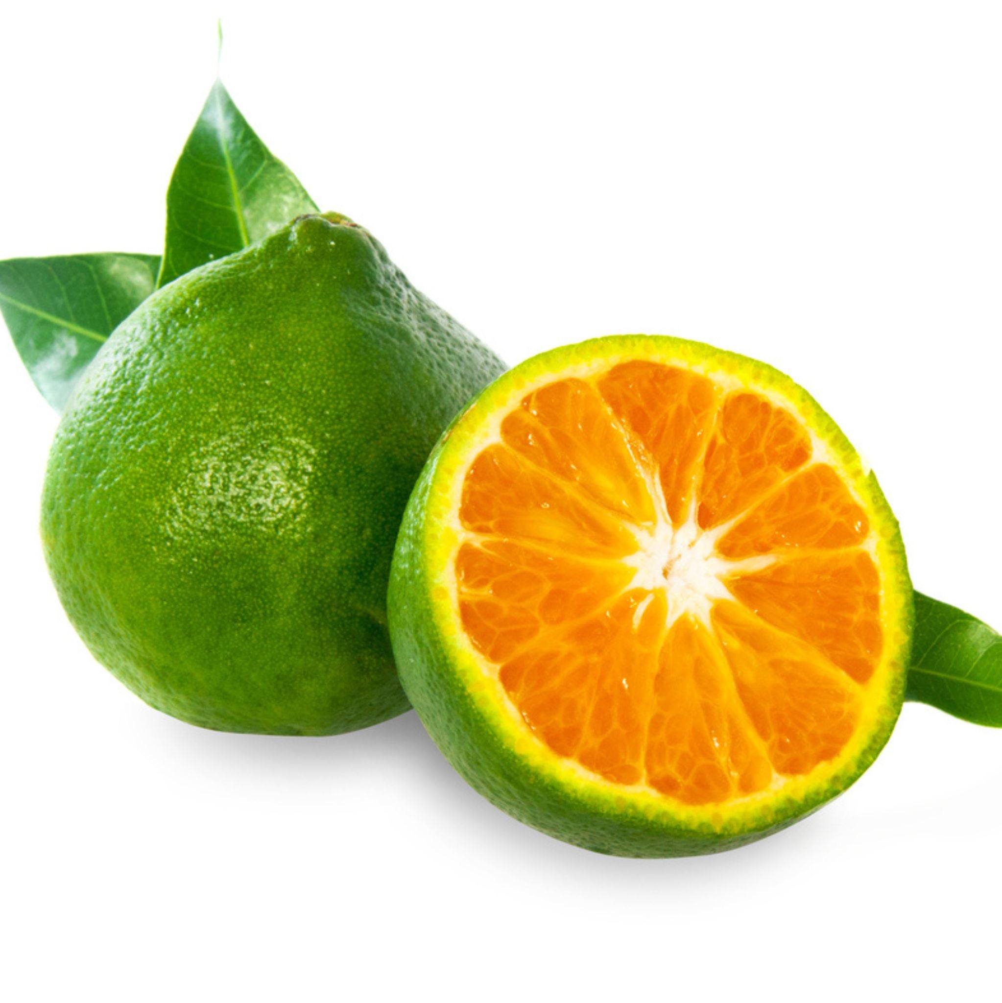 Mandarine Grün 10 ml, ätherisches Öl