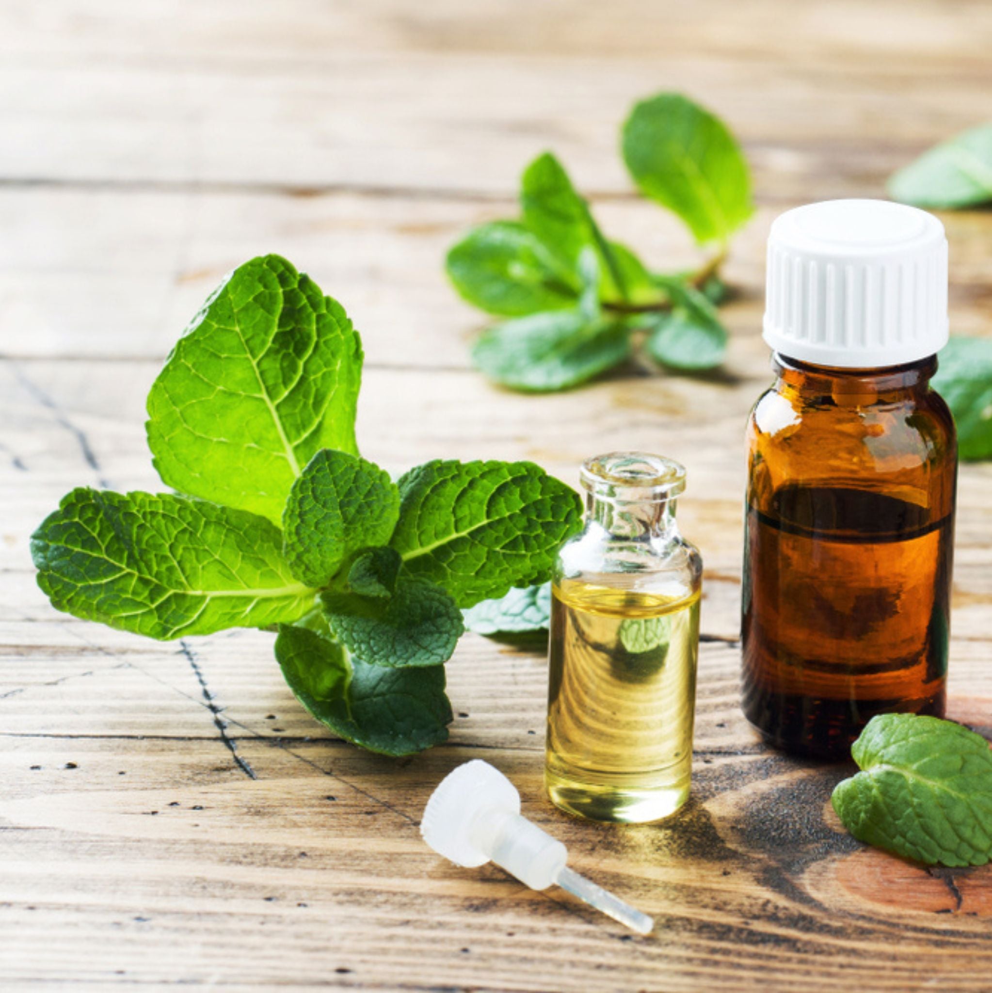 Piperita Mentha Essential Oil