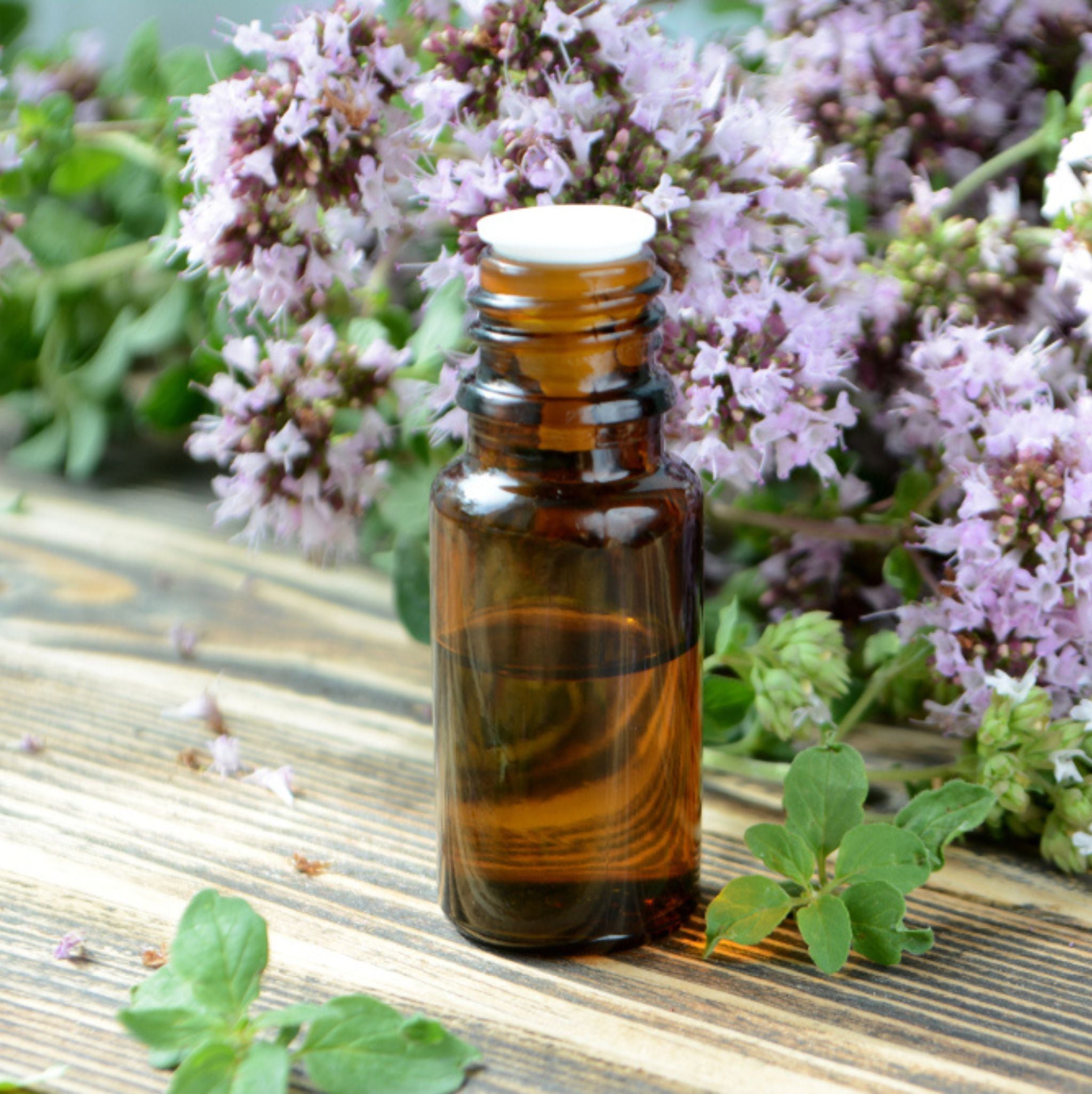 Organo Essential Oil