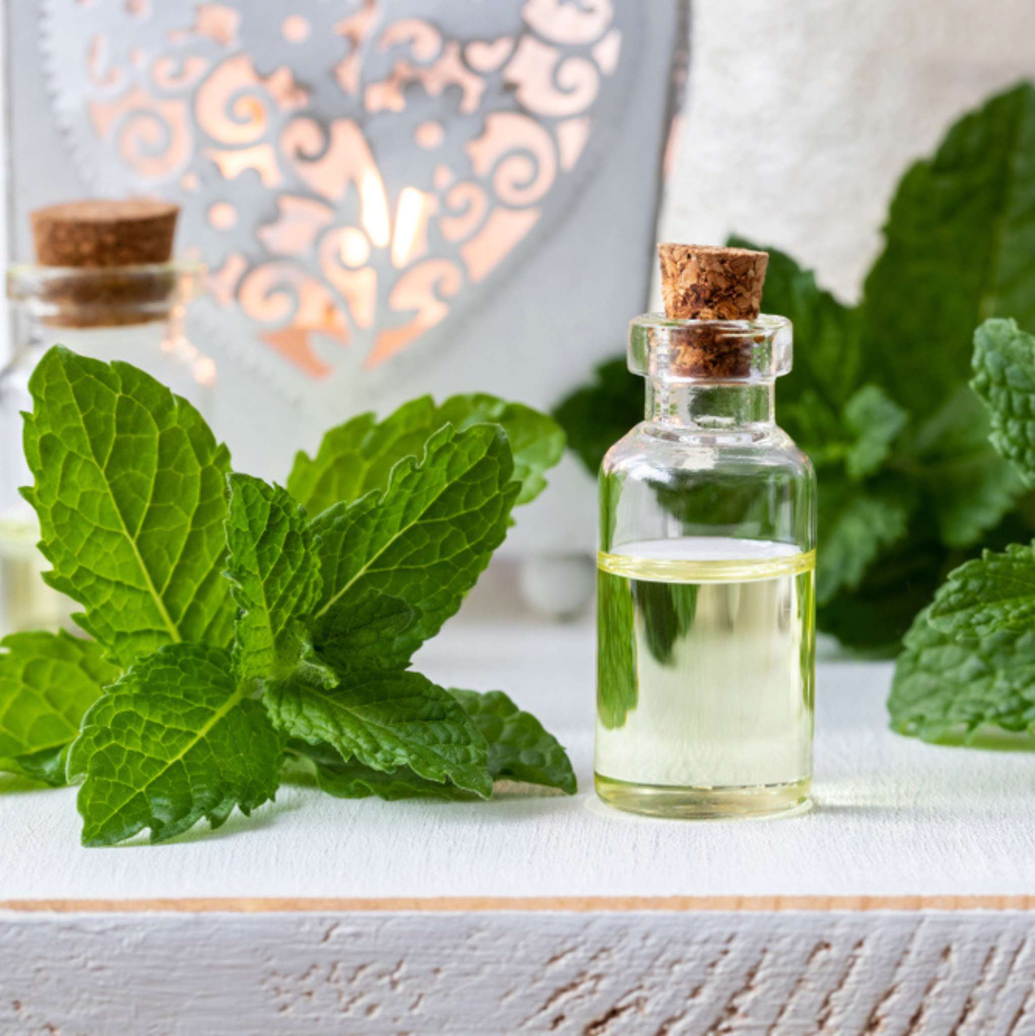 Peppermint Organic Essential Oil