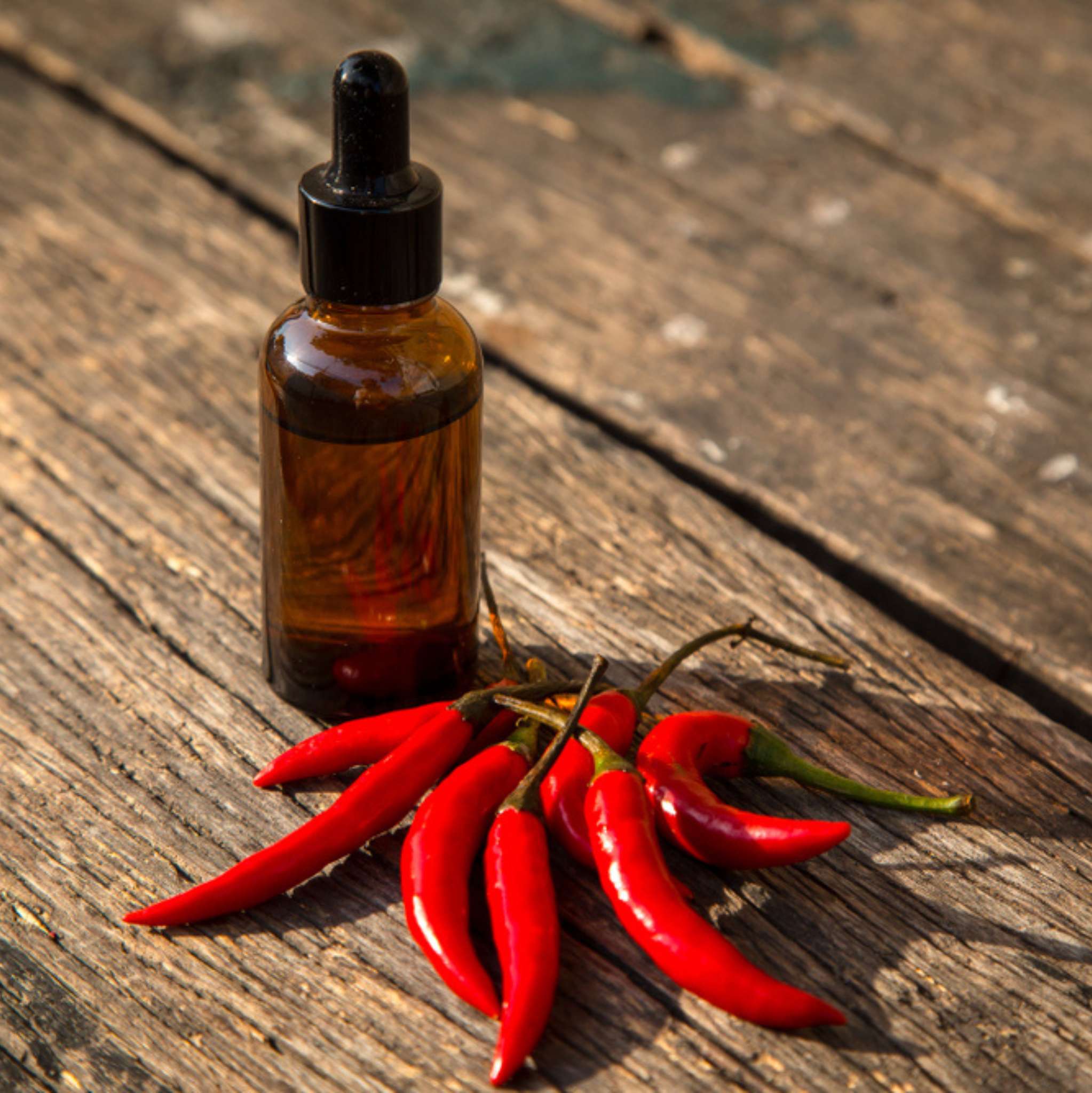 Chilli Seed Essential Oil