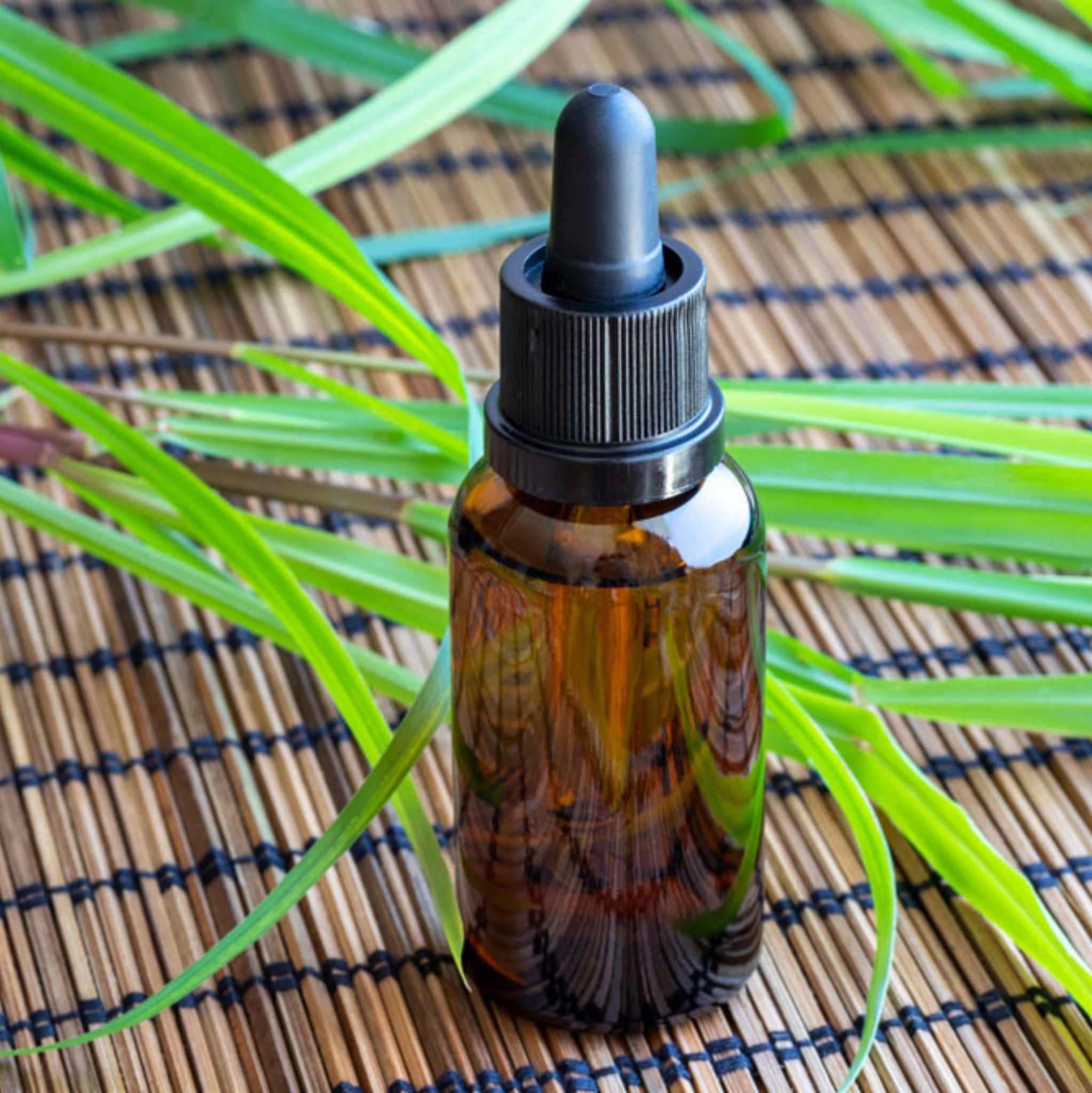 Palmarosa Essential Oil