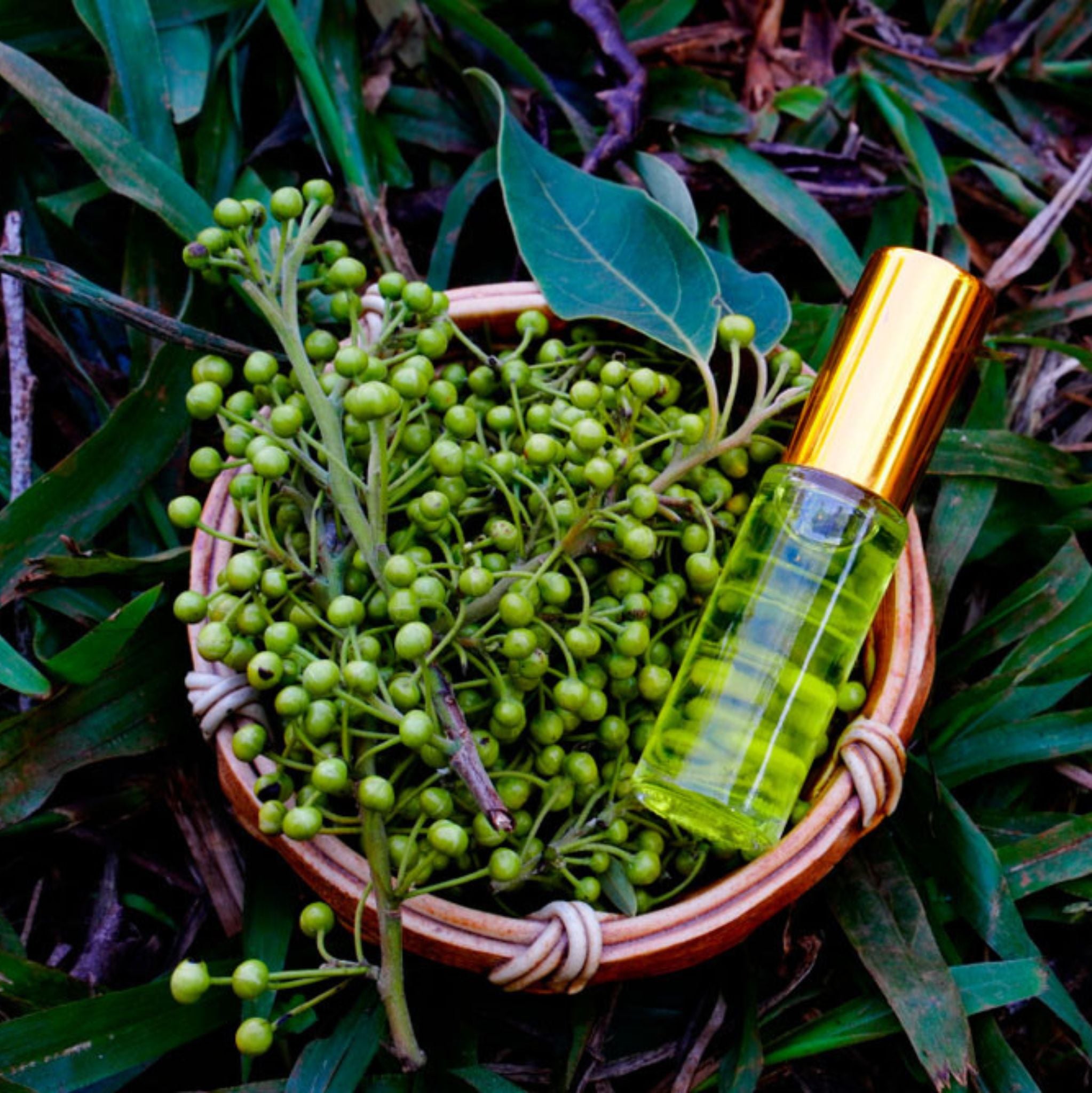 Litsea Cubeba Essential Oil