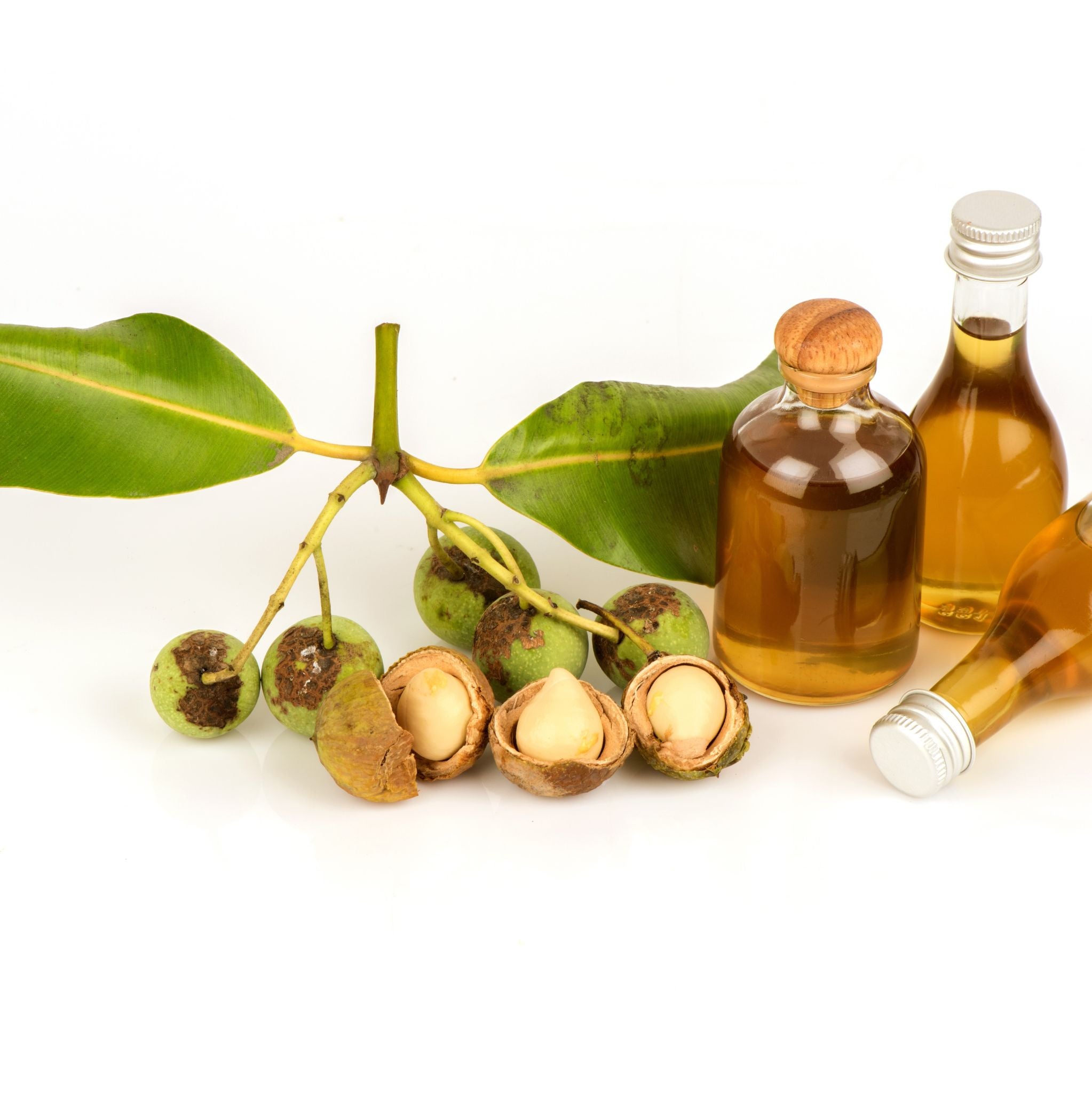 Calophyllum Oil cold pressed