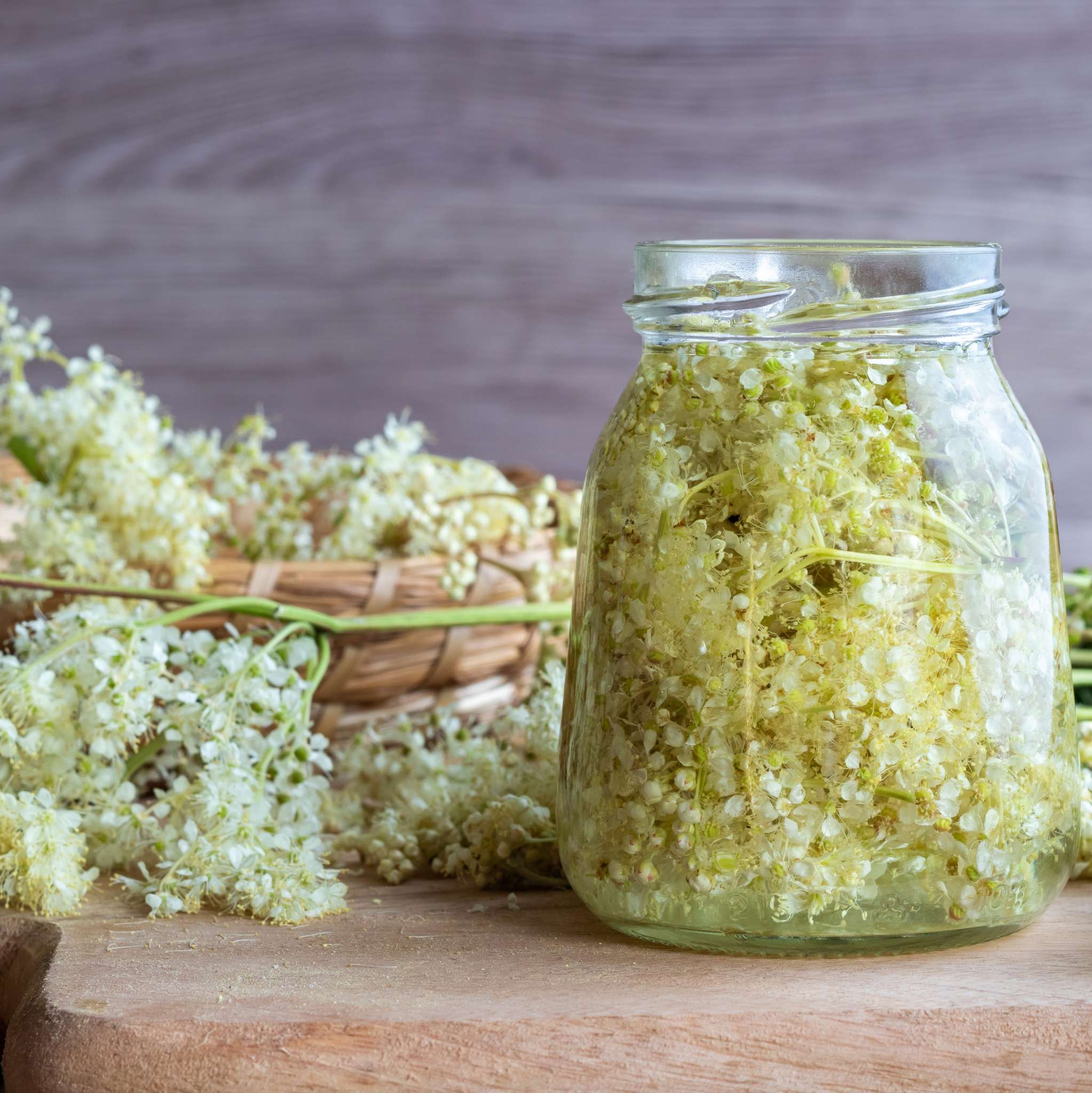 Meadowsweet Extract