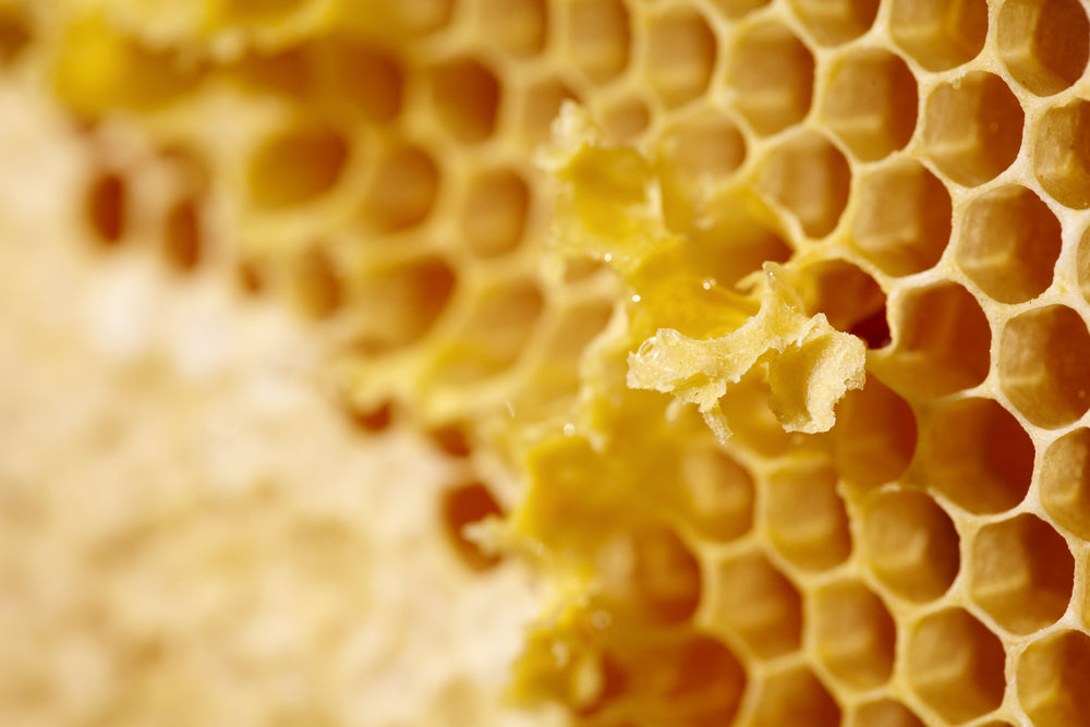 Beeswax Cosmetic