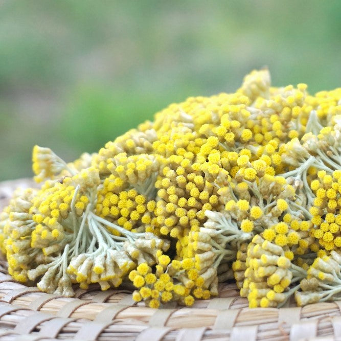 Immortellenhydrolat *BIO