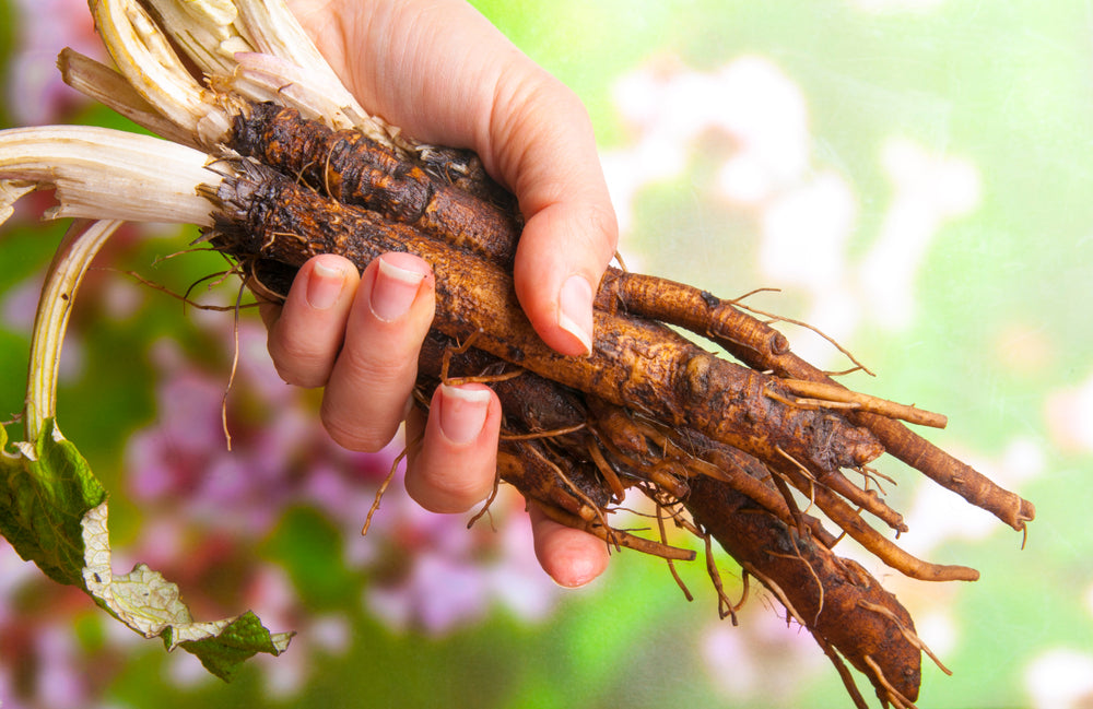 Burdock Root Powder