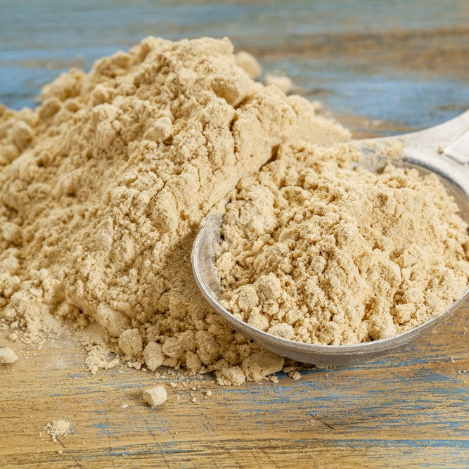 Burdock Root Powder