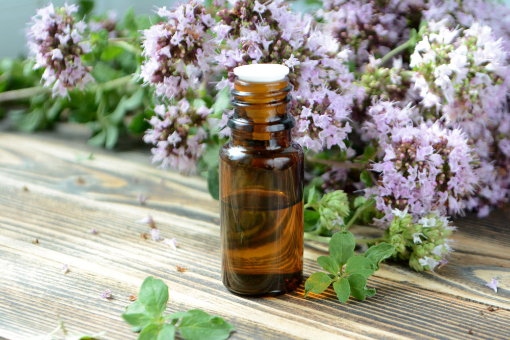 Marjoram Essential Oil