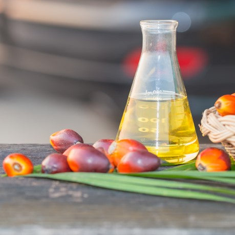 Palm Oil refined