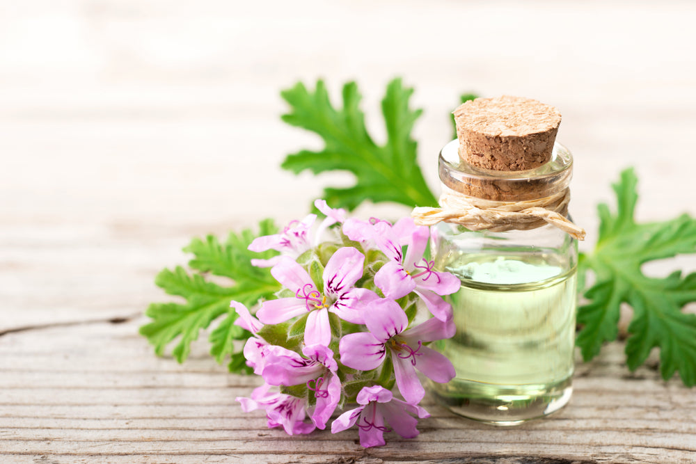 Geranium Organic Essential Oil