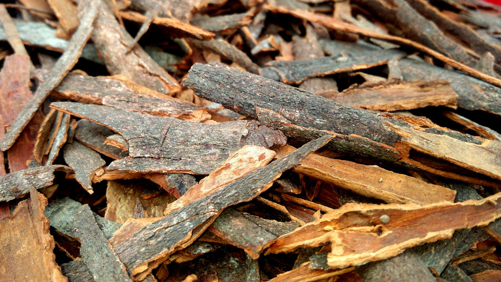 Cinnamon Bark Essential Oil