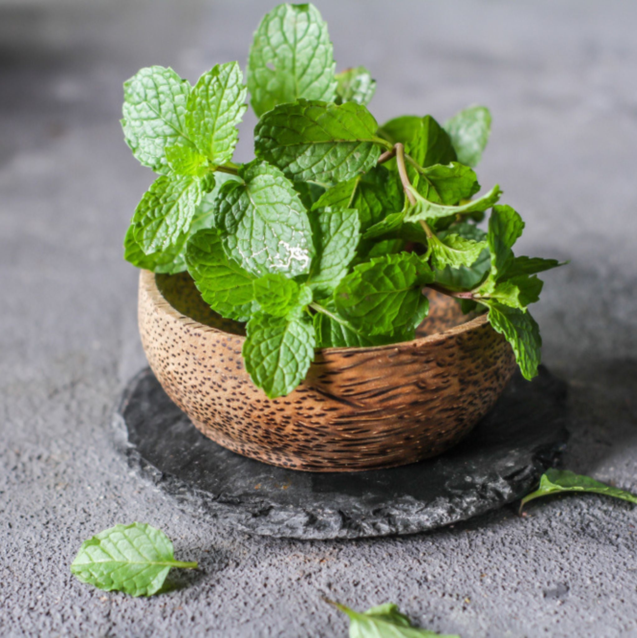 Peppermint Essential Oil