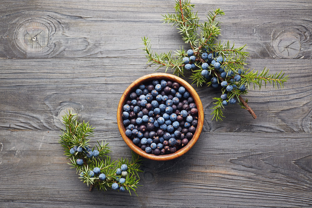 Juniper Berry Himalayan Essential Oil